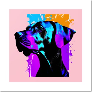 Vizsla Dog Photo Art Posters and Art